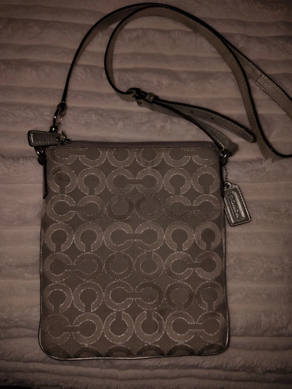 Coach Metallic Silver Signature Crossbody Bag